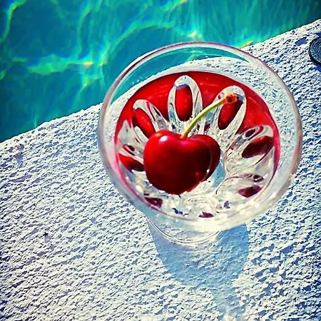 ベッド・アンド・ブレックファスト Mountainhome Casa Cancelinha