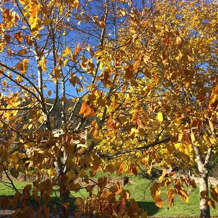 ベッド・アンド・ブレックファスト Mountainhome Casa Cancelinha