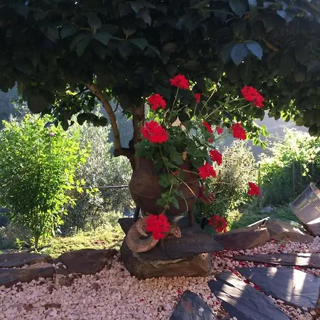 ベッド・アンド・ブレックファスト Mountainhome Casa Cancelinha