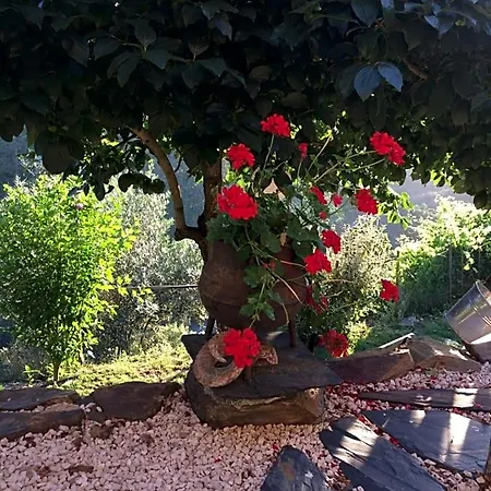 Mountainhome Casa Cancelinha 3*