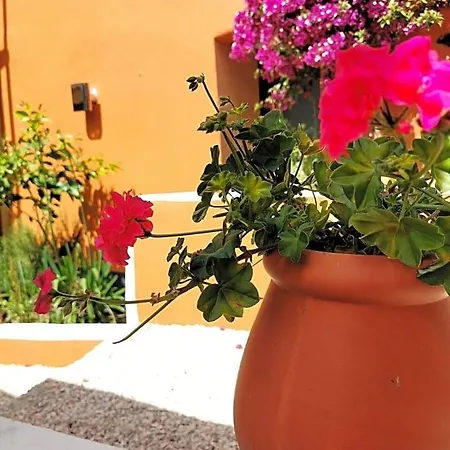 Mountainhome Casa Cancelinha Bed & Breakfast 3*